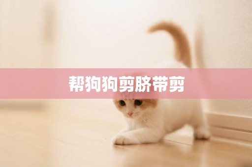 幫狗狗剪臍帶剪