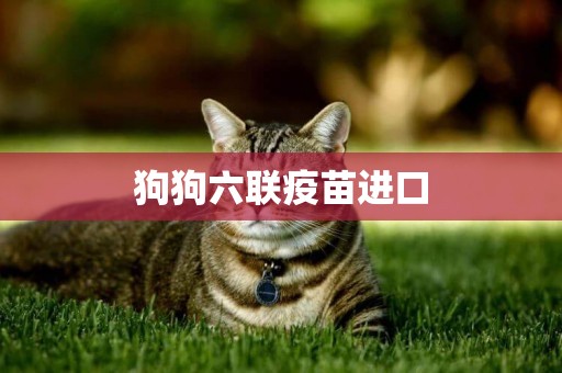 狗狗六聯疫苗進口