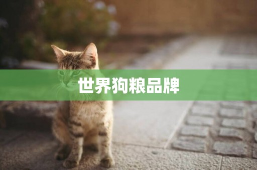 世界狗糧品牌