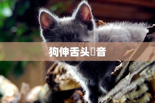 狗伸舌頭聲音