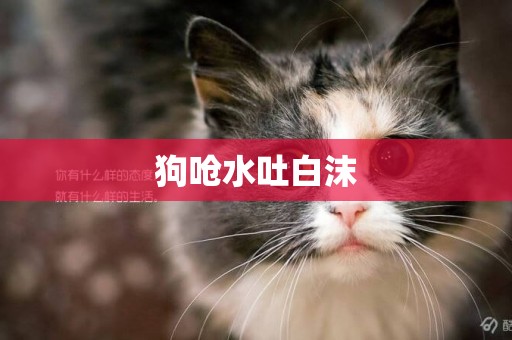 狗嗆水吐白沫