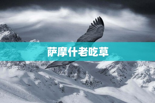 薩摩什老吃草