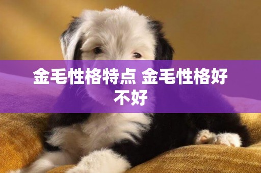 金毛性格特點 金毛性格好不好