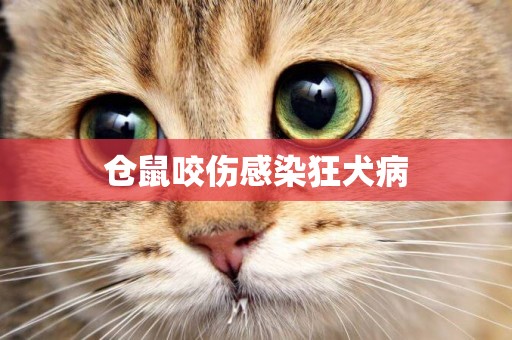 倉鼠咬傷感染狂犬病