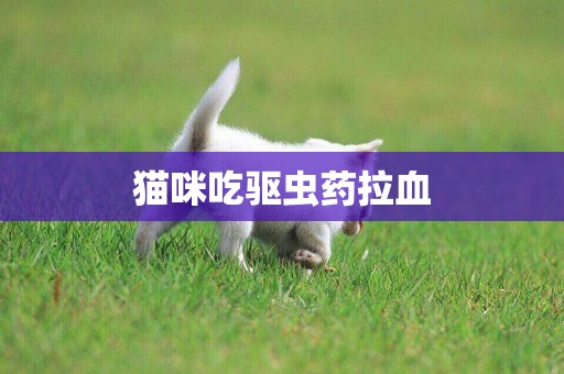 貓咪吃驅蟲藥拉血