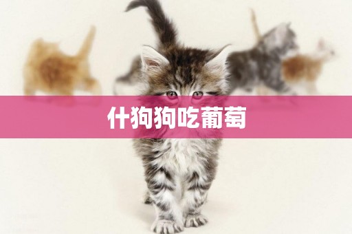 什狗狗吃葡萄