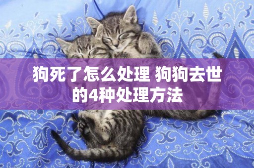 狗死了怎么處理 狗狗去世的4種處理方法