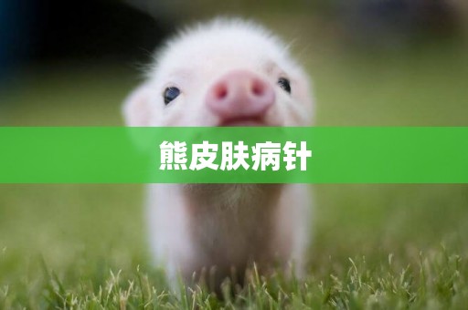 熊皮膚病針