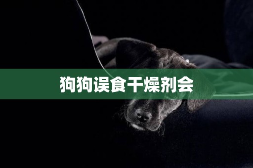 狗狗誤食干燥劑會