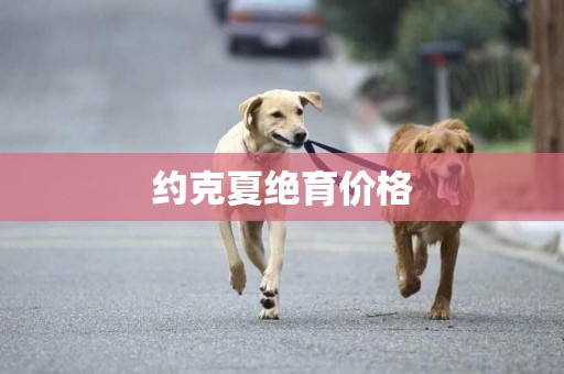 約克夏絕育價格
