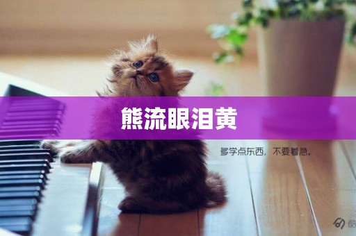 熊流眼淚黃