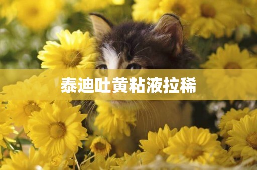 泰迪吐黃粘液拉稀