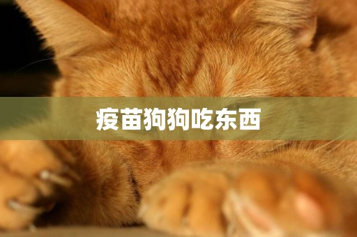 疫苗狗狗吃東西