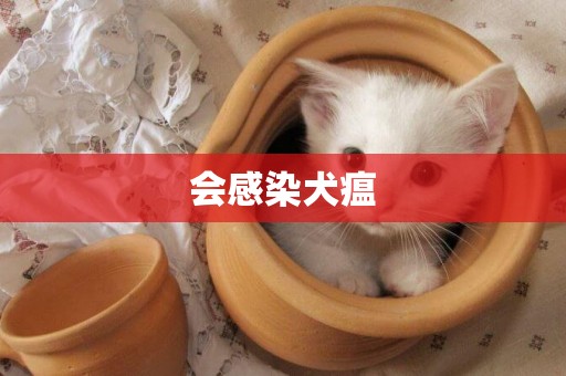 會感染犬瘟