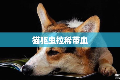 貓驅蟲拉稀帶血