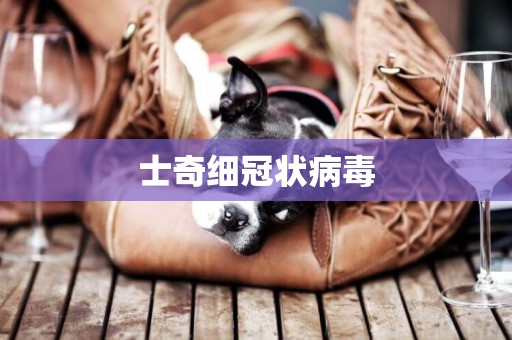 士奇細冠狀病毒