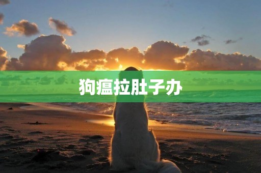 狗瘟拉肚子辦