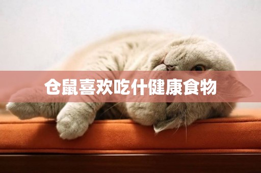 倉鼠喜歡吃什健康食物