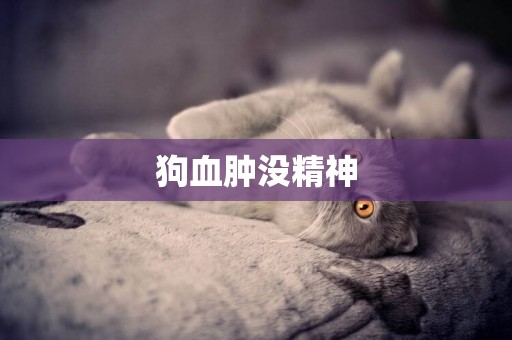 狗血腫沒精神