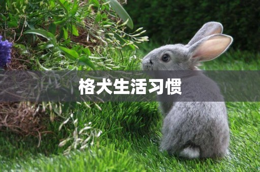 格犬生活習慣