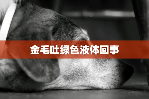 金毛吐綠色液體回事