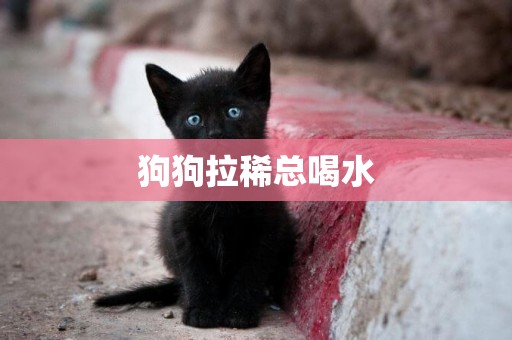 狗狗拉稀總喝水