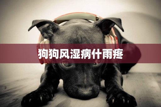 狗狗風濕病什雨疼