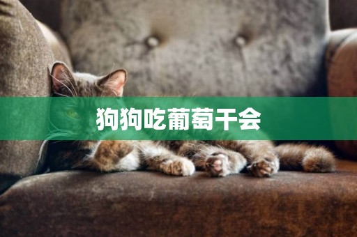狗狗吃葡萄干會