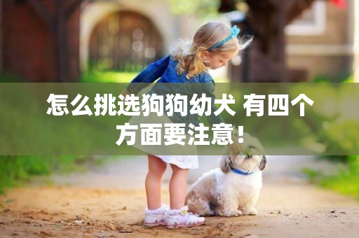 怎么挑選狗狗幼犬 有四個方面要注意！