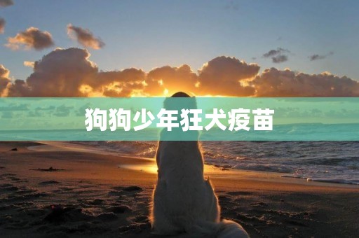 狗狗少年狂犬疫苗
