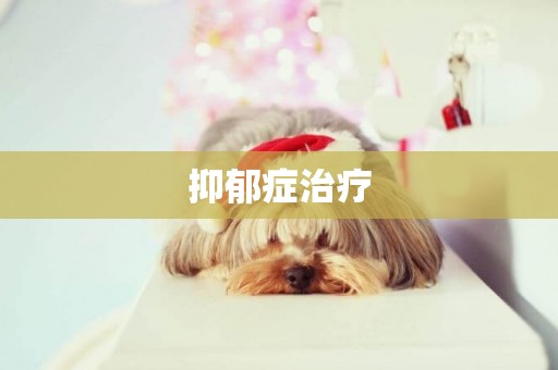 抑郁癥治療