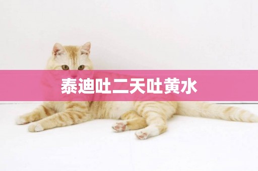 泰迪吐二天吐黃水