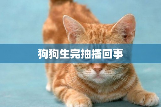 狗狗生完抽搐回事
