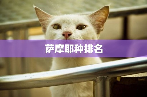 薩摩耶種排名