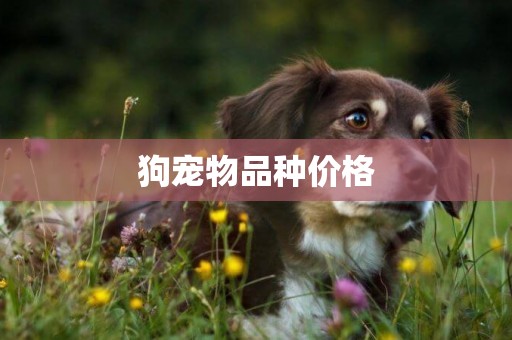狗寵物品種價格