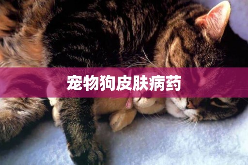 寵物狗皮膚病藥