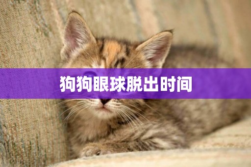 狗狗眼球脫出時間