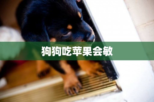 狗狗吃蘋果會敏