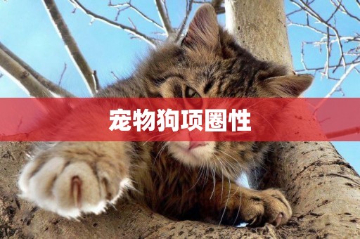 寵物狗項圈性