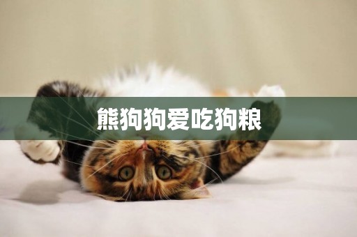 熊狗狗愛吃狗糧