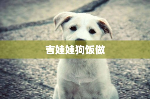 吉娃娃狗飯做