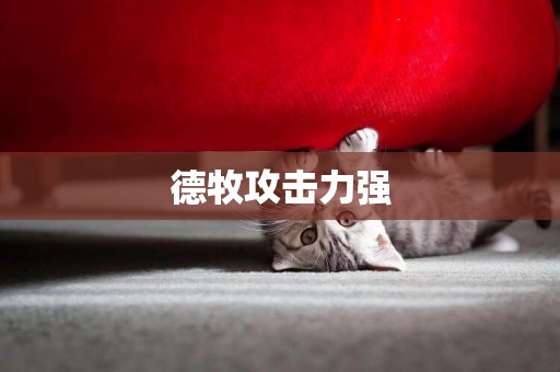 德牧攻擊力強
