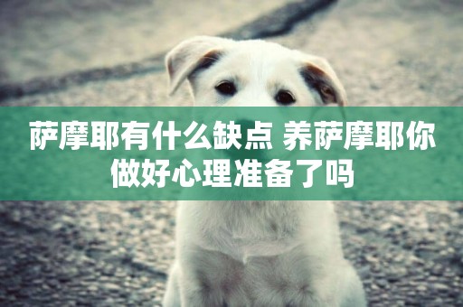 薩摩耶有什么缺點 養薩摩耶你做好心理準備了嗎