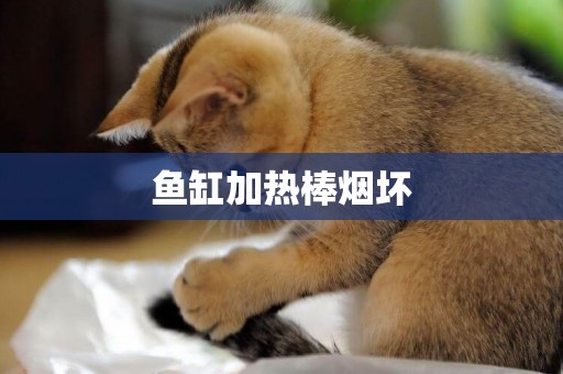 魚缸加熱棒煙壞