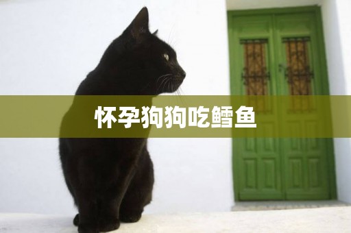 懷孕狗狗吃鱈魚