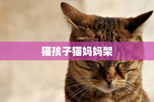 貓孩子貓媽媽架
