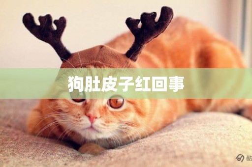 狗肚皮子紅回事