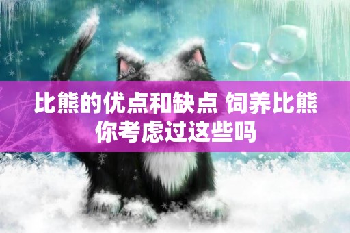 比熊的優點和缺點 飼養比熊你考慮過這些嗎