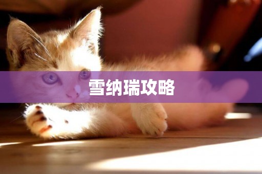 雪納瑞攻略