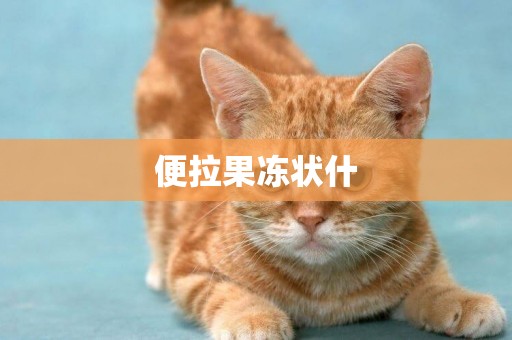 便拉果凍狀什